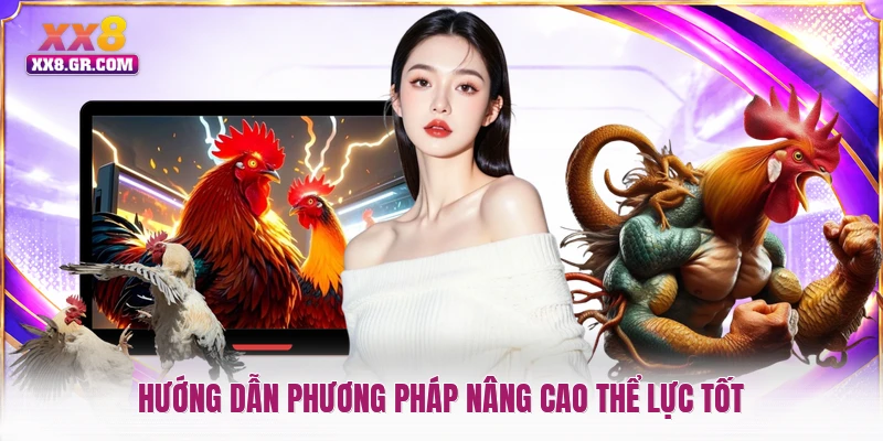 Hướng dẫn cách tập luyện cho gà chọi hay