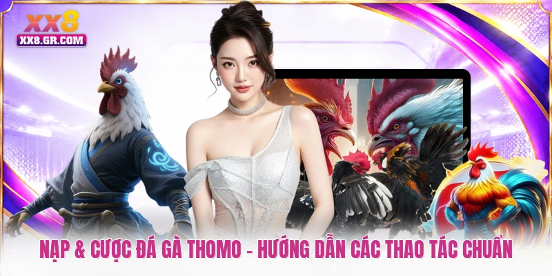 Nạp & Cược Đá Gà Thomo - Hướng Dẫn Các Thao Tác Chuẩn