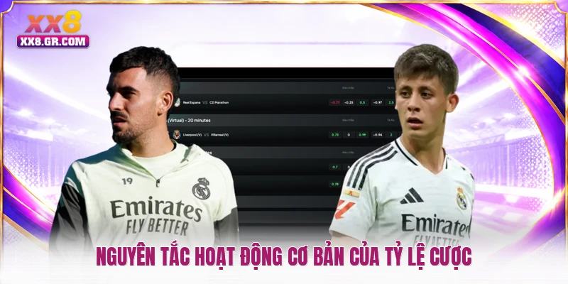 Nguyên tắc hoạt động cơ bản của tỷ lệ cược